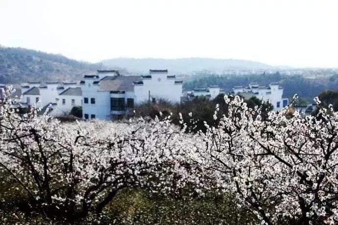 明代一“懒人”对联:上联和下联一字不差,却成千古经典流传至今