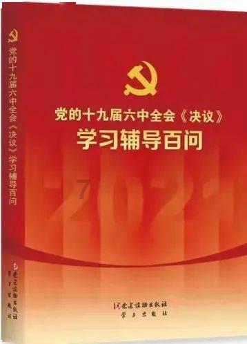 森系丛林